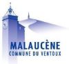 MALAUCENE